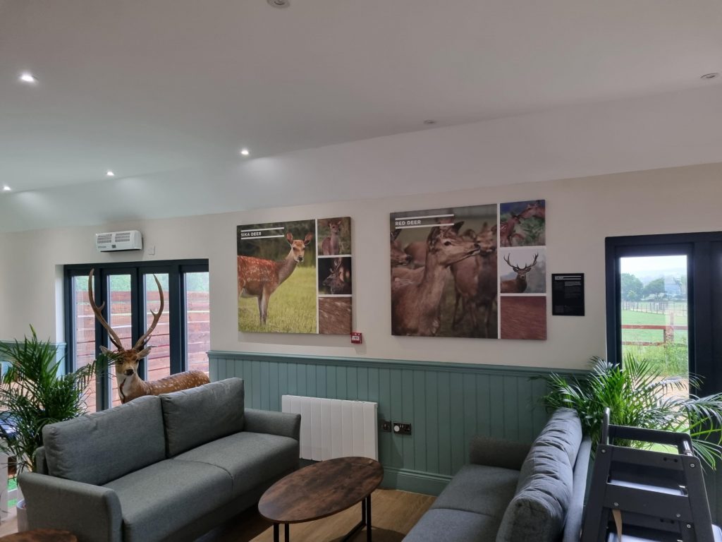 Digitally printed acoustic panels installed in a village hall breakout area