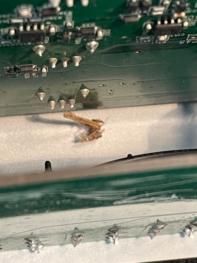 akai timbre wolf internal pcb 1