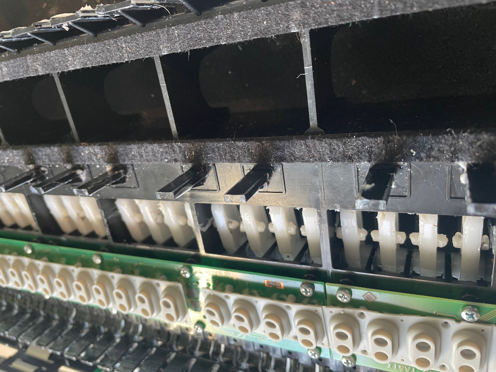 nord electro keybed strip down
