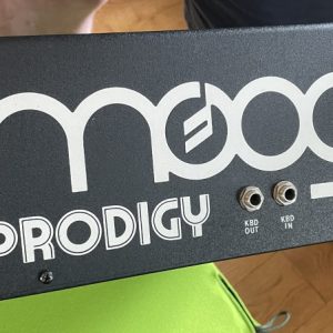 moog prodigy rear panel
